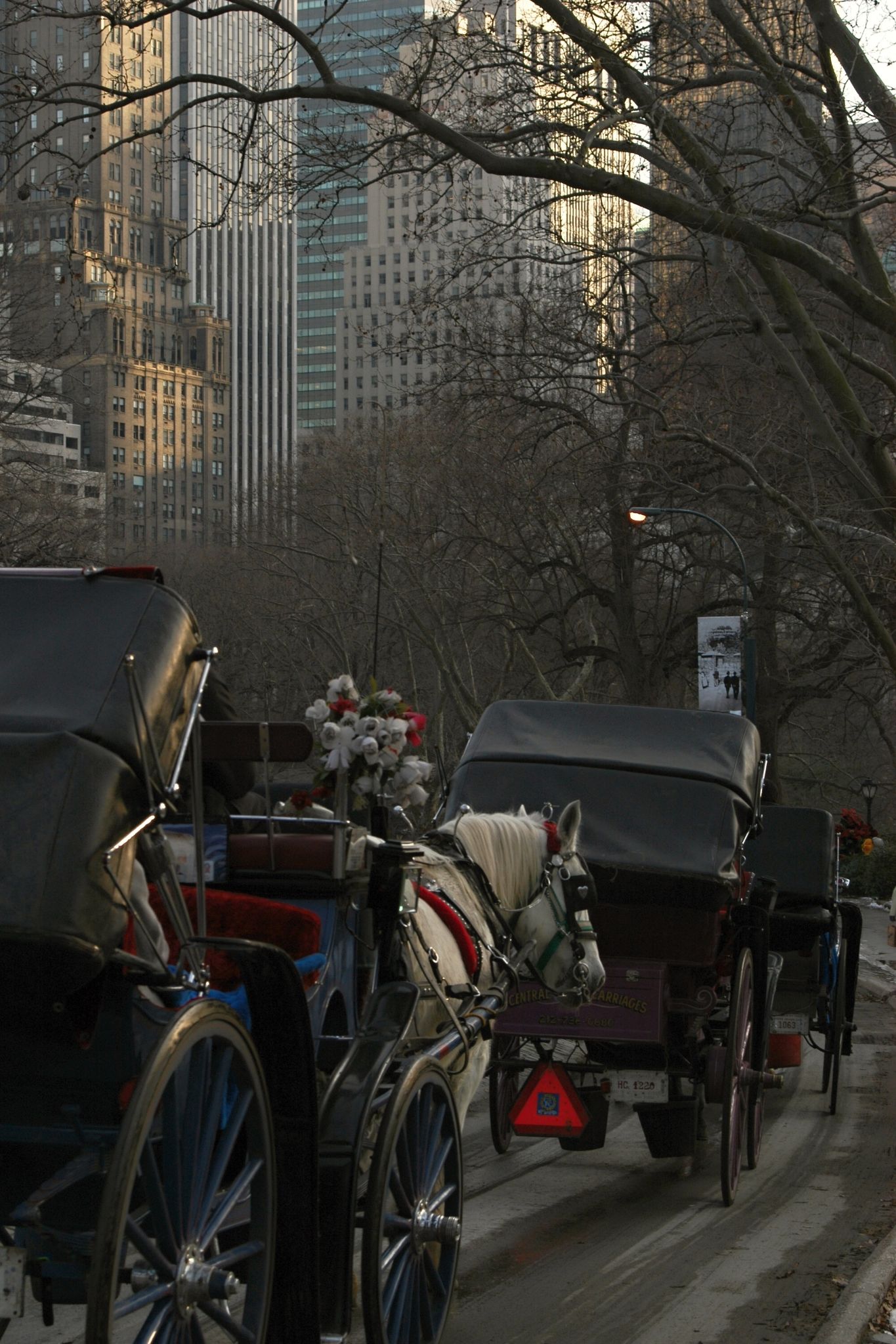 Central Park