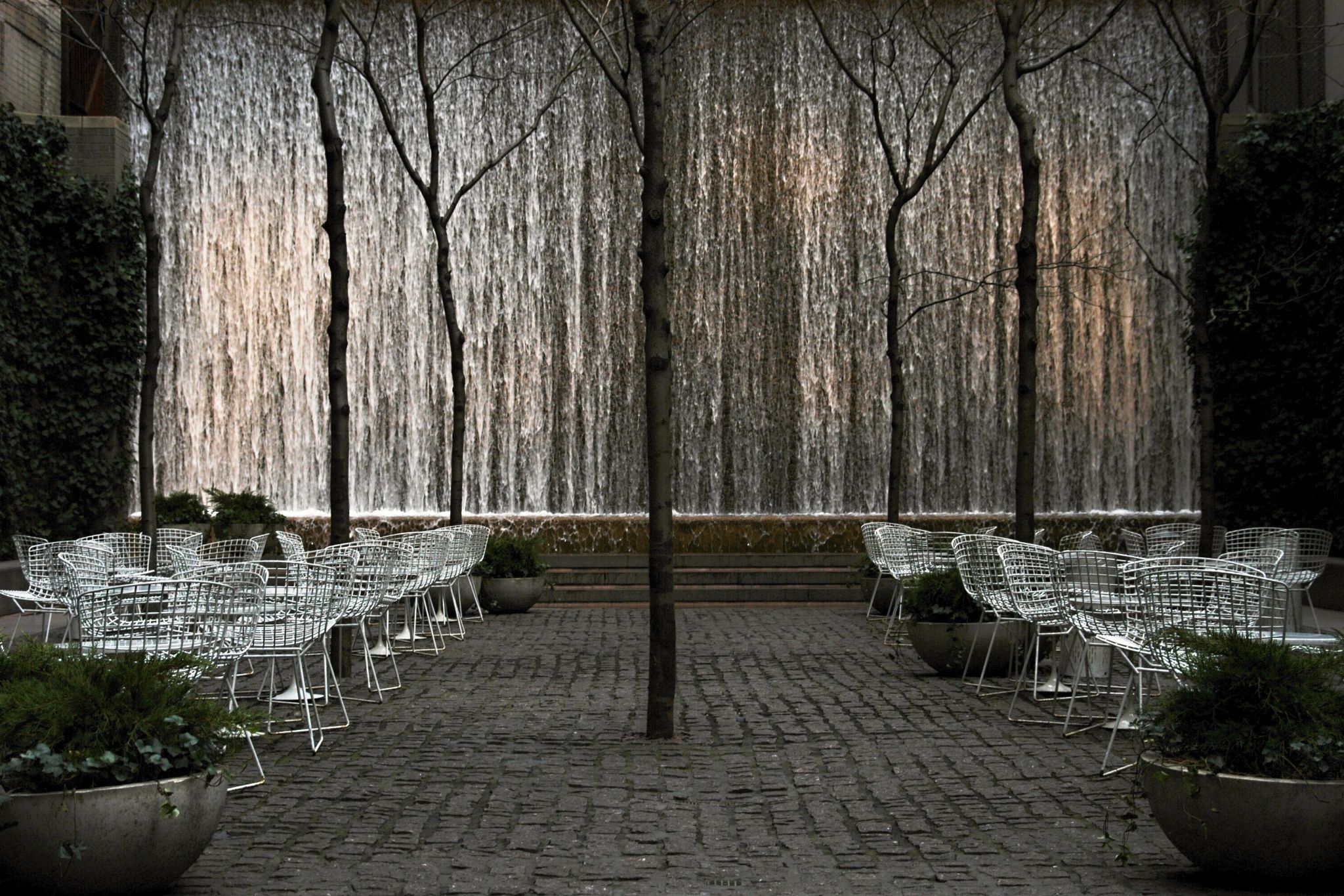 Tree Line